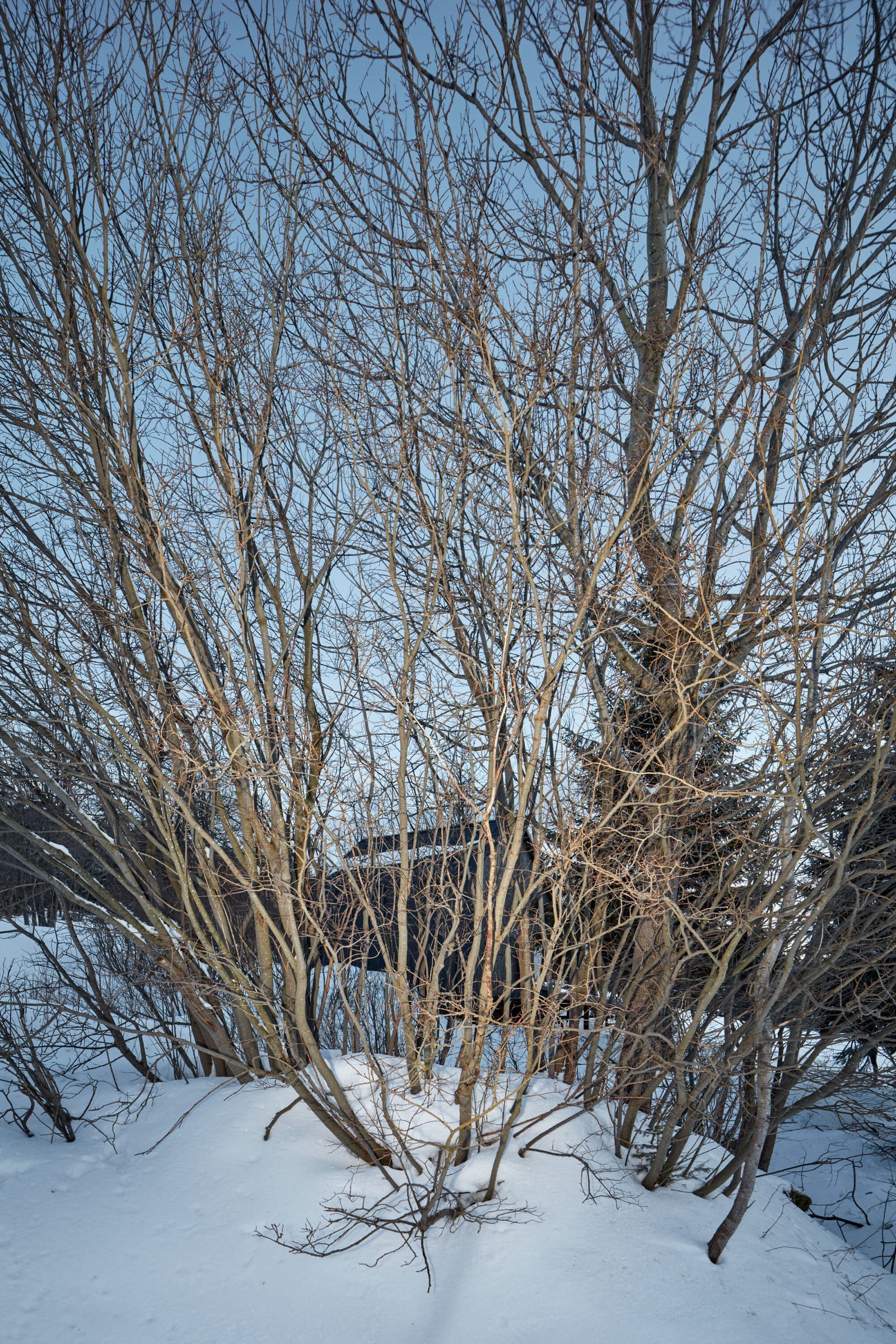 Dřevěná chata v Krkonoších obložená plechem