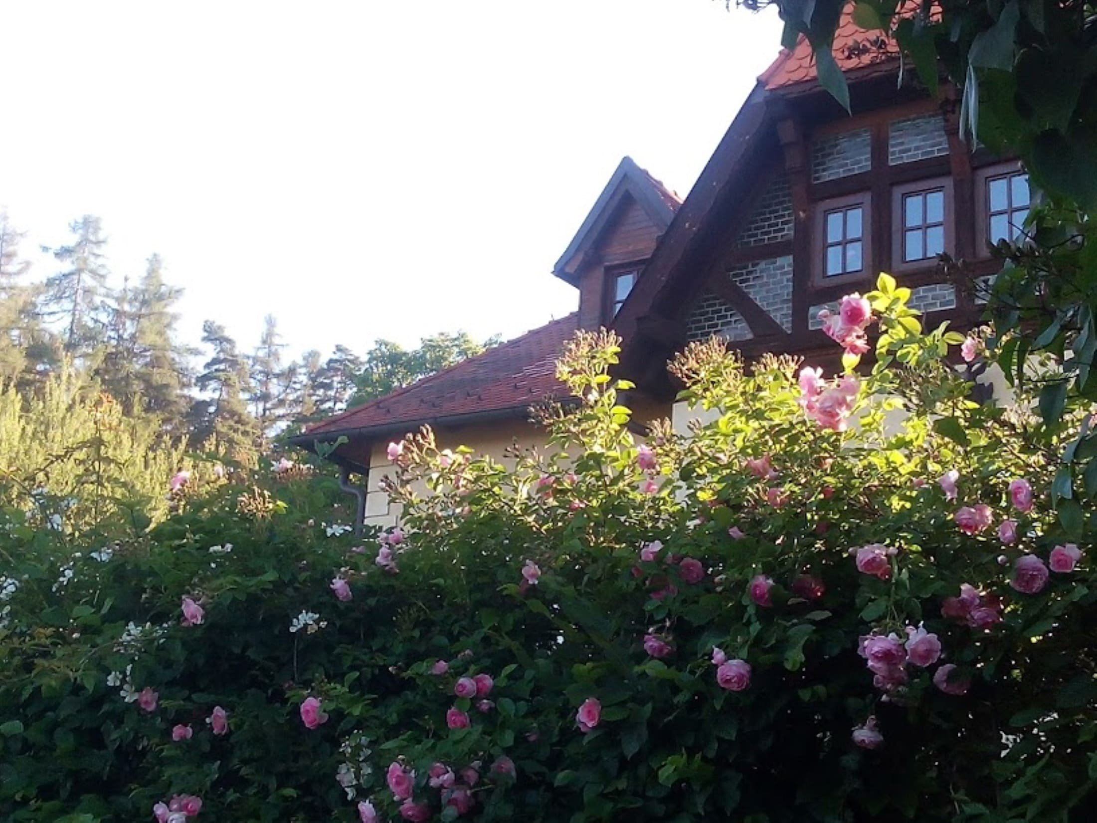 Zpustošenou stodolu proměnili v kouzelné místo