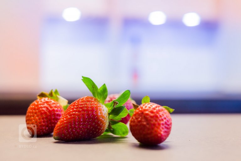 add picture to album