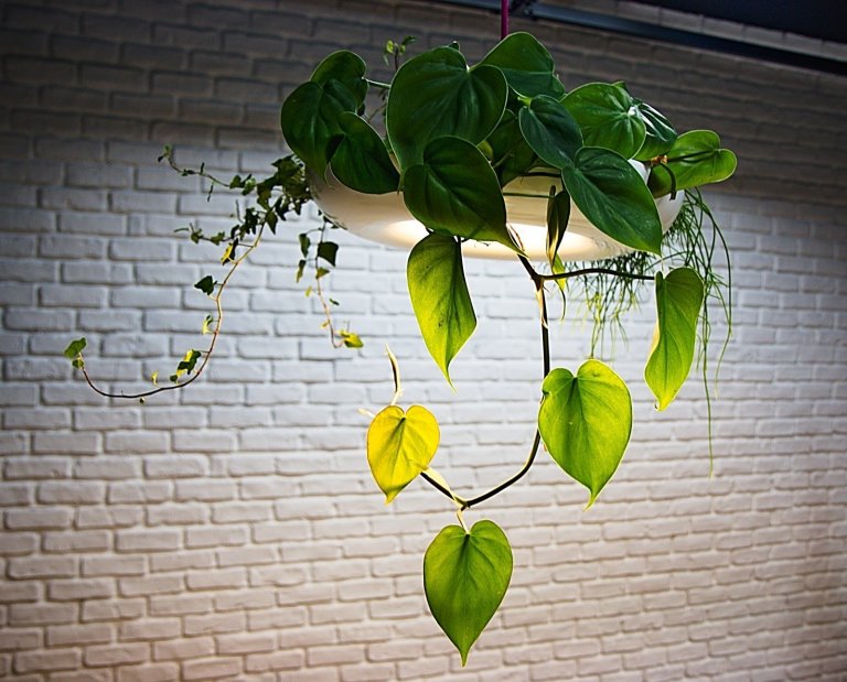 Design kancelář