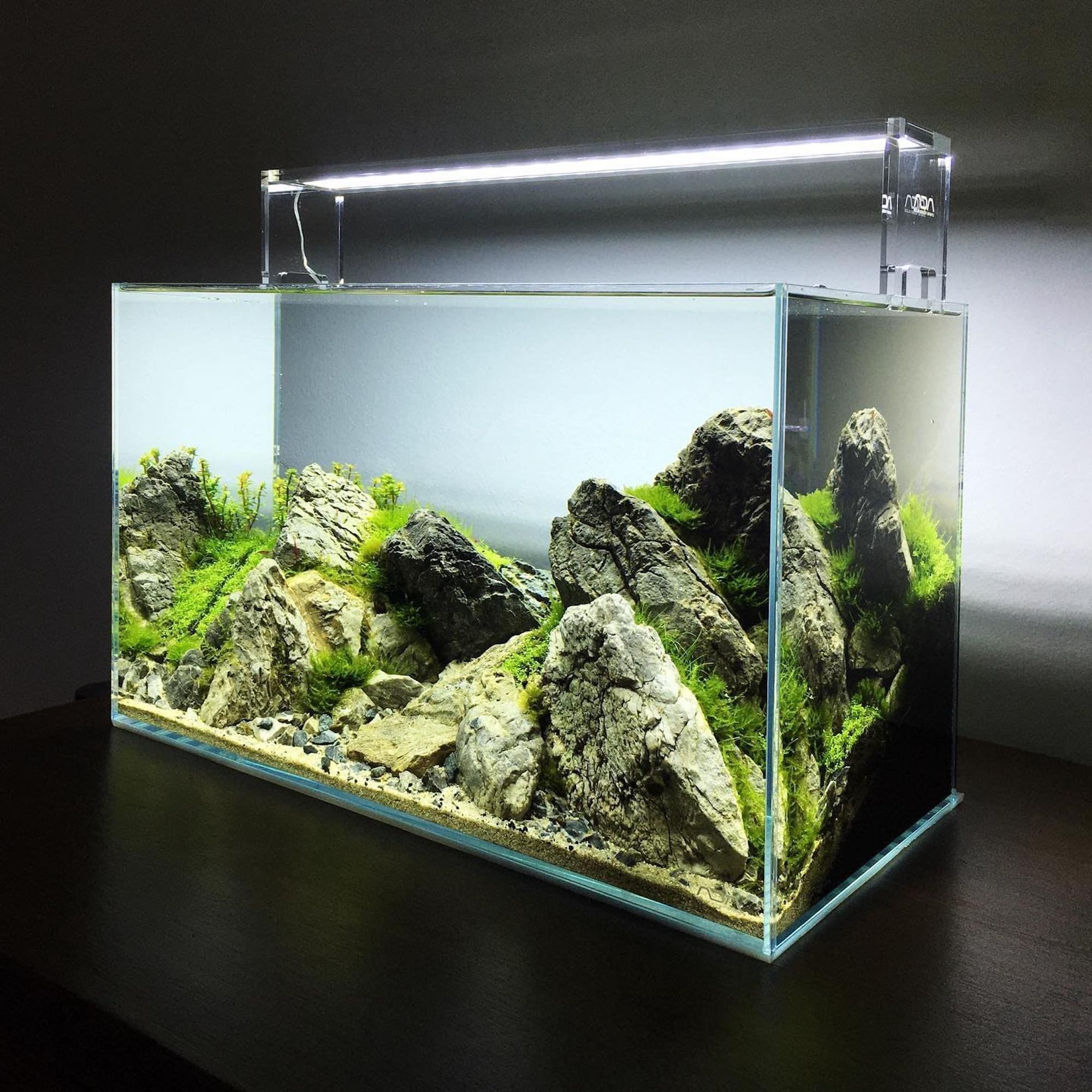 Nano akvárium, designový doplněk do vašeho bytu