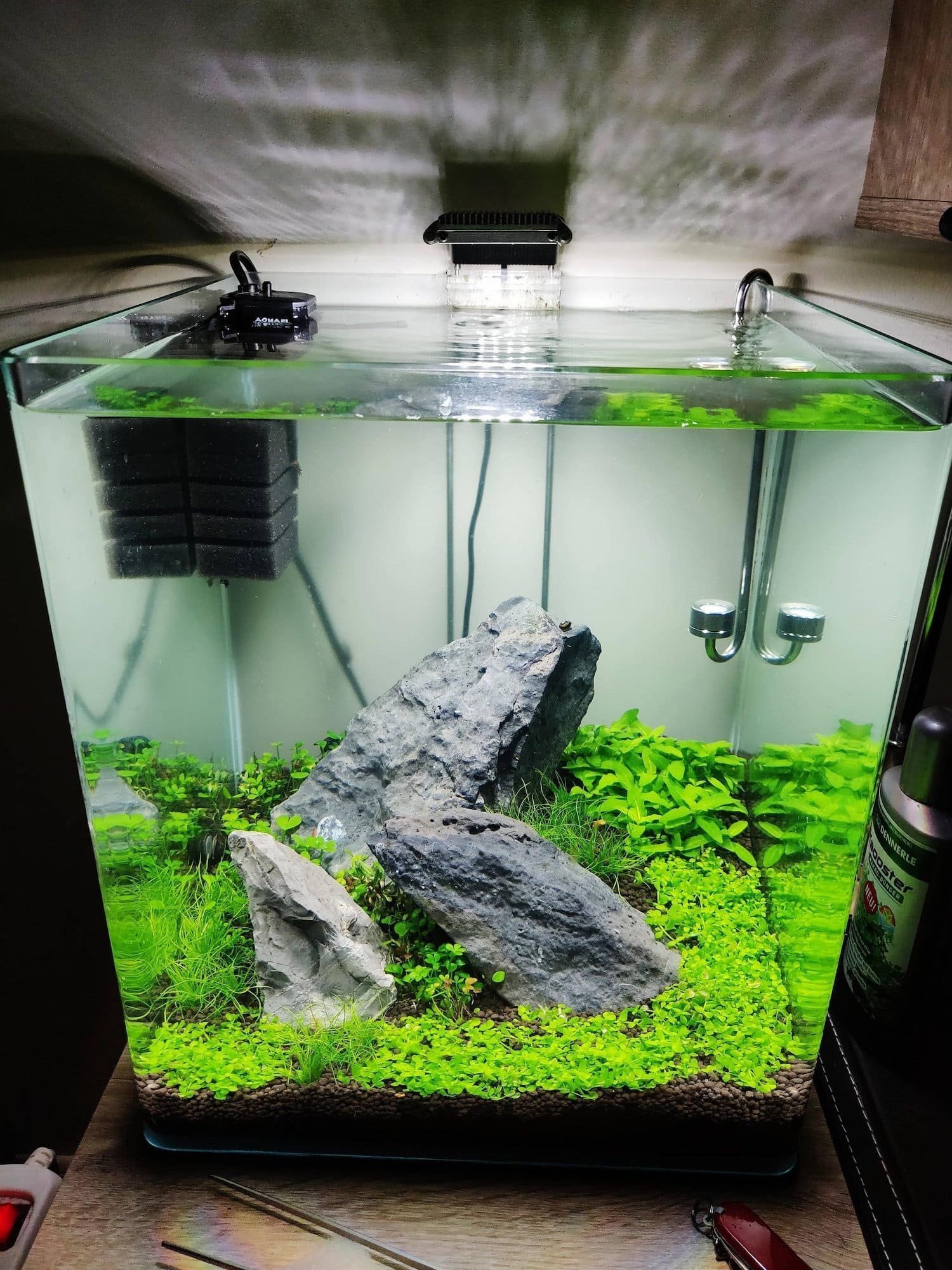 Nano akvárium, designový doplněk do vašeho bytu