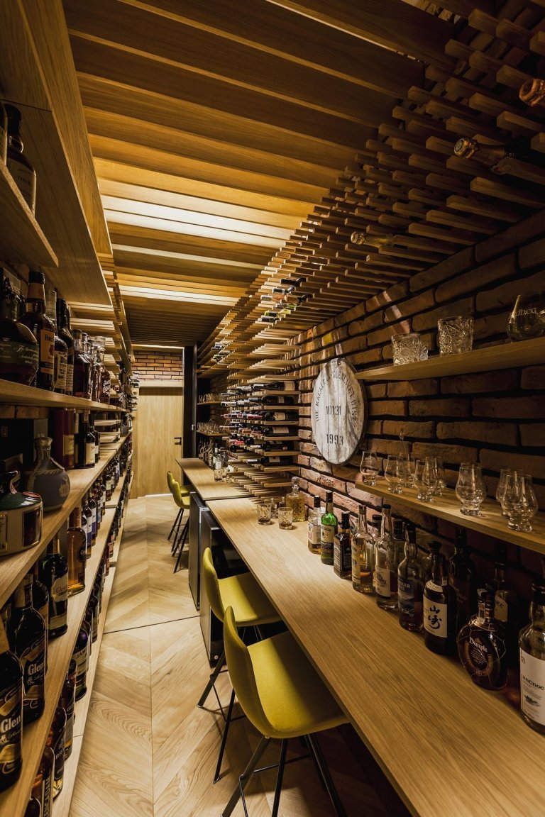 Sen o moderním bydlení v bažinaté krajině