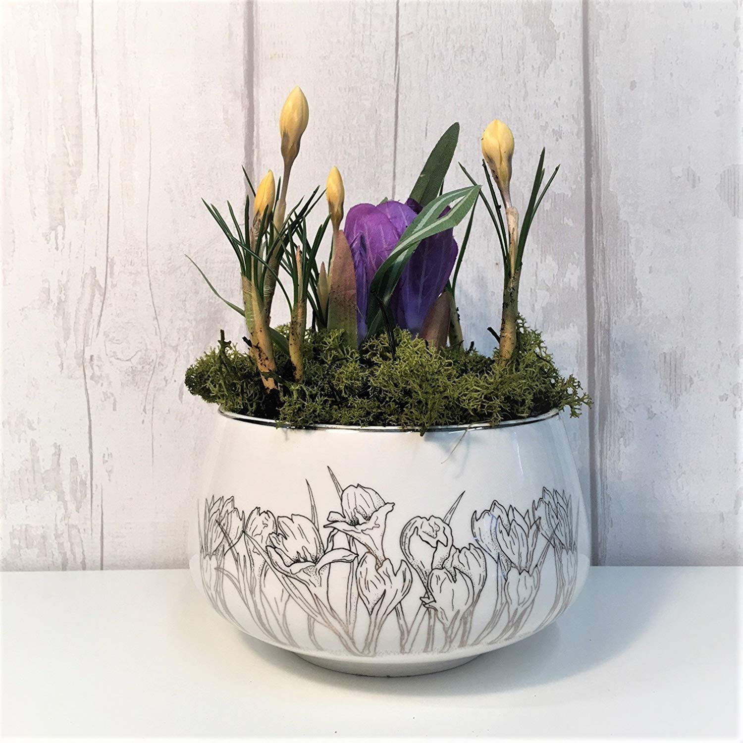 Chcete mít doma o Vánocích živé dekorace? My víme, jak na to!