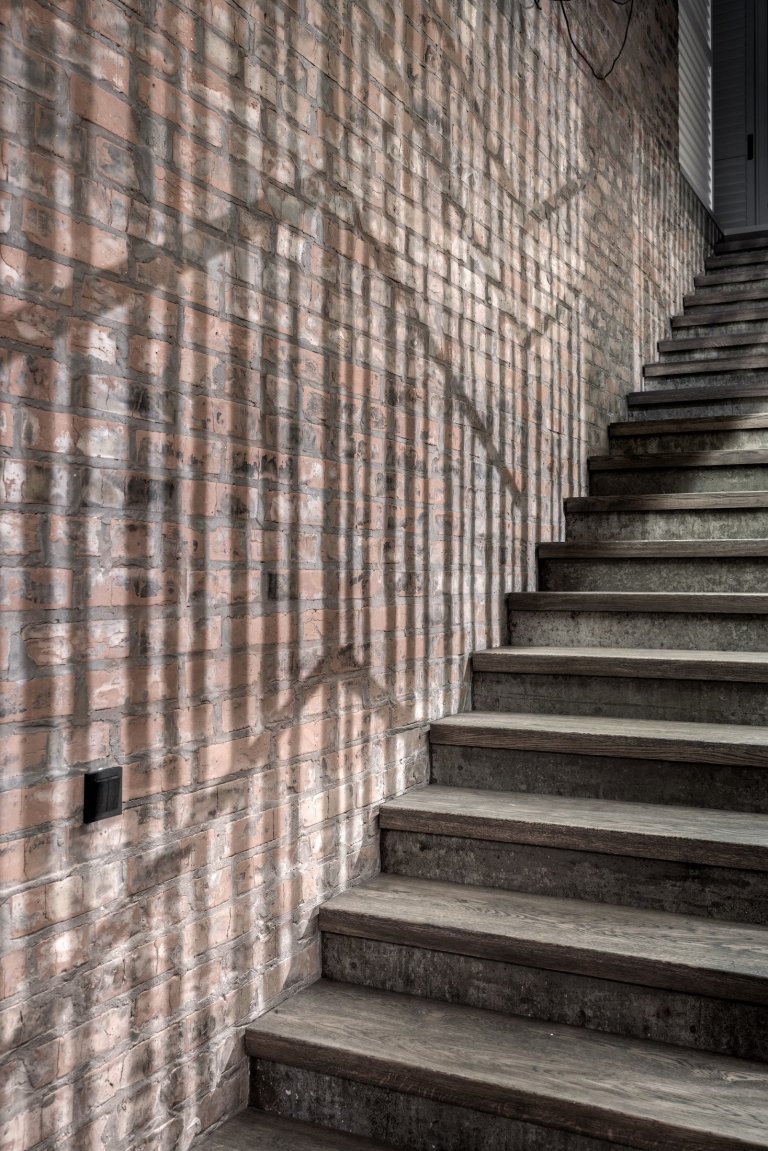 Venkovský dům - Forest House