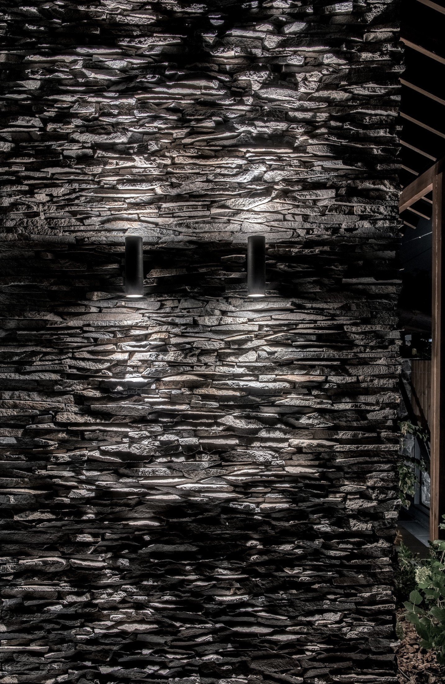 Venkovský dům - Forest House