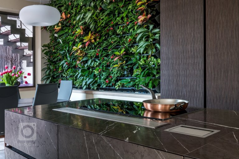 add picture to album