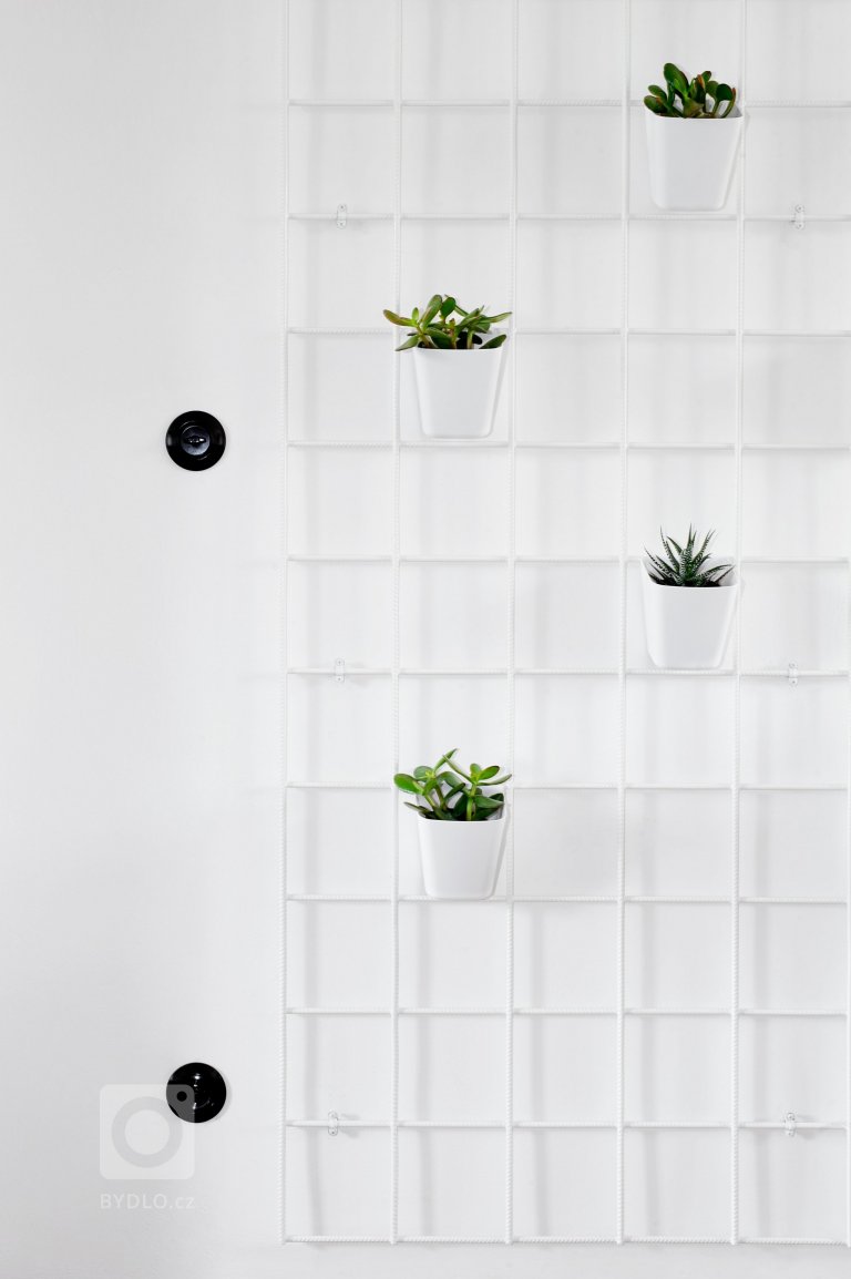 add picture to album